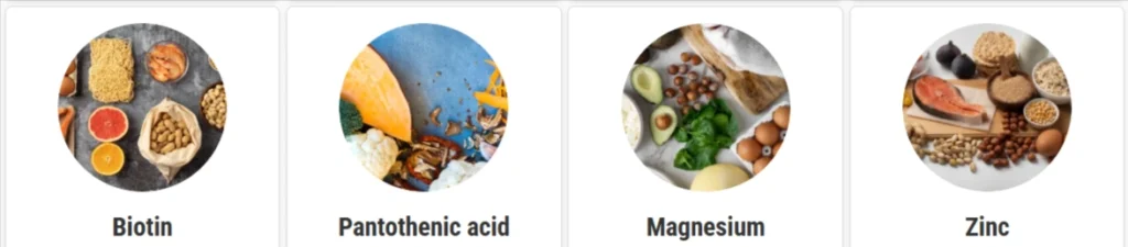 AgeShield Ingredients - Biotin, Pantothenic acid, Magnesium, Zinc