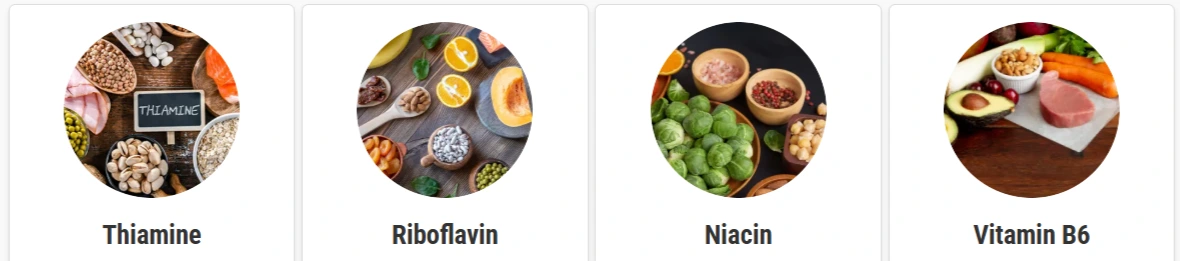 AgeShield Ingredients -Thiamine, Riboflavin, Niacin, Vitamin B6