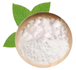 Camphor