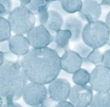 Hydrolyzed Collagen Peptides