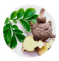 Konjac Glucomannan