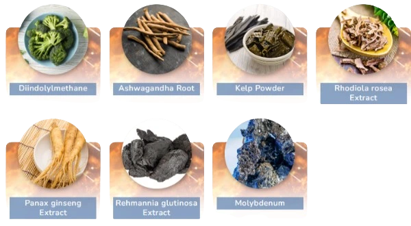 MitoCode Ingredients