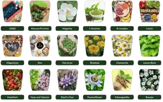 VidaCalm Ingredients